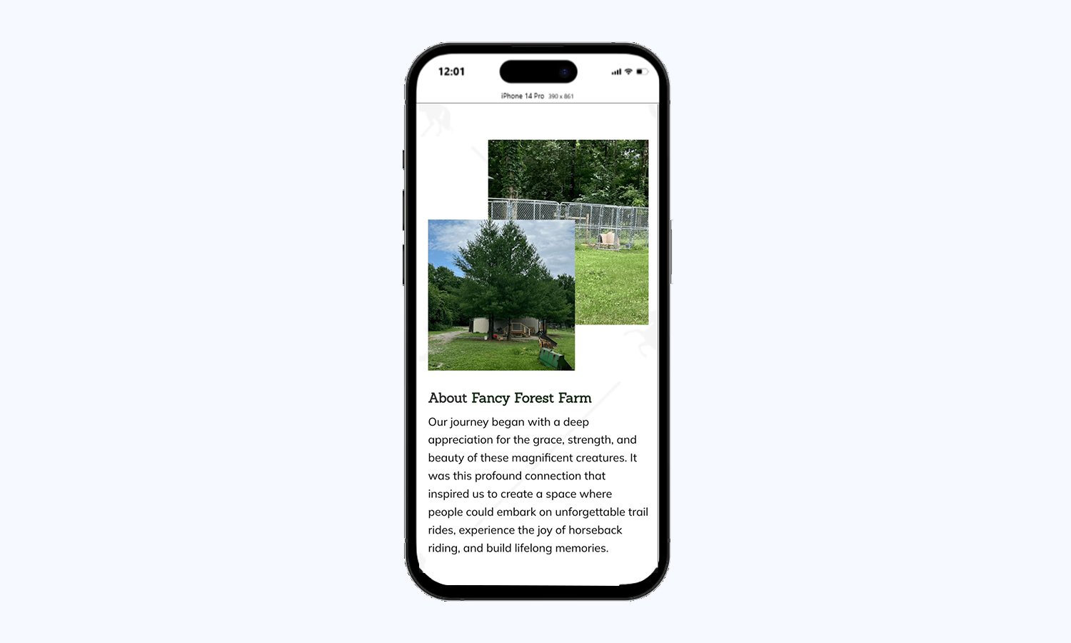 Mobile-Friendly Design for Horseback Riding Website