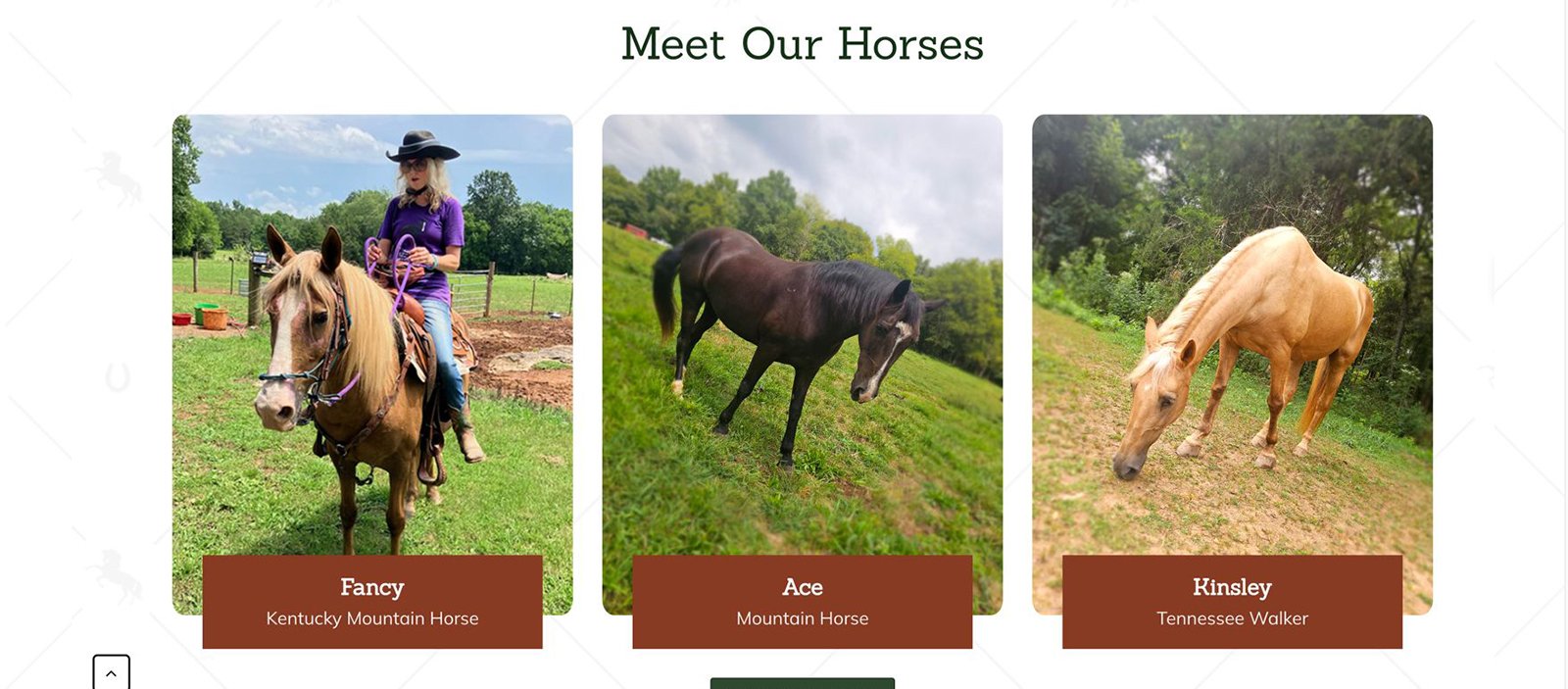 Design showcase for a horseback riding client with horse profiles