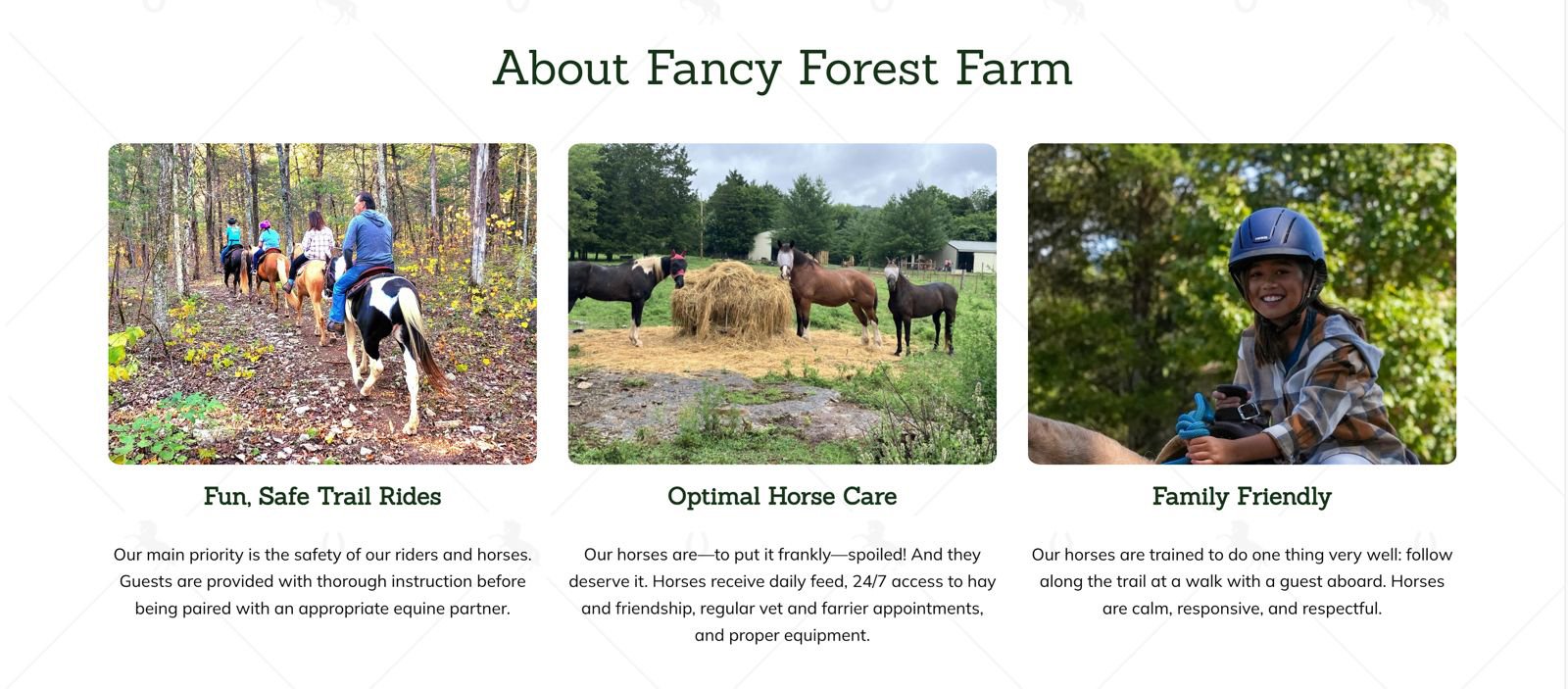 Website design showcasing horseback riding client with trail rides