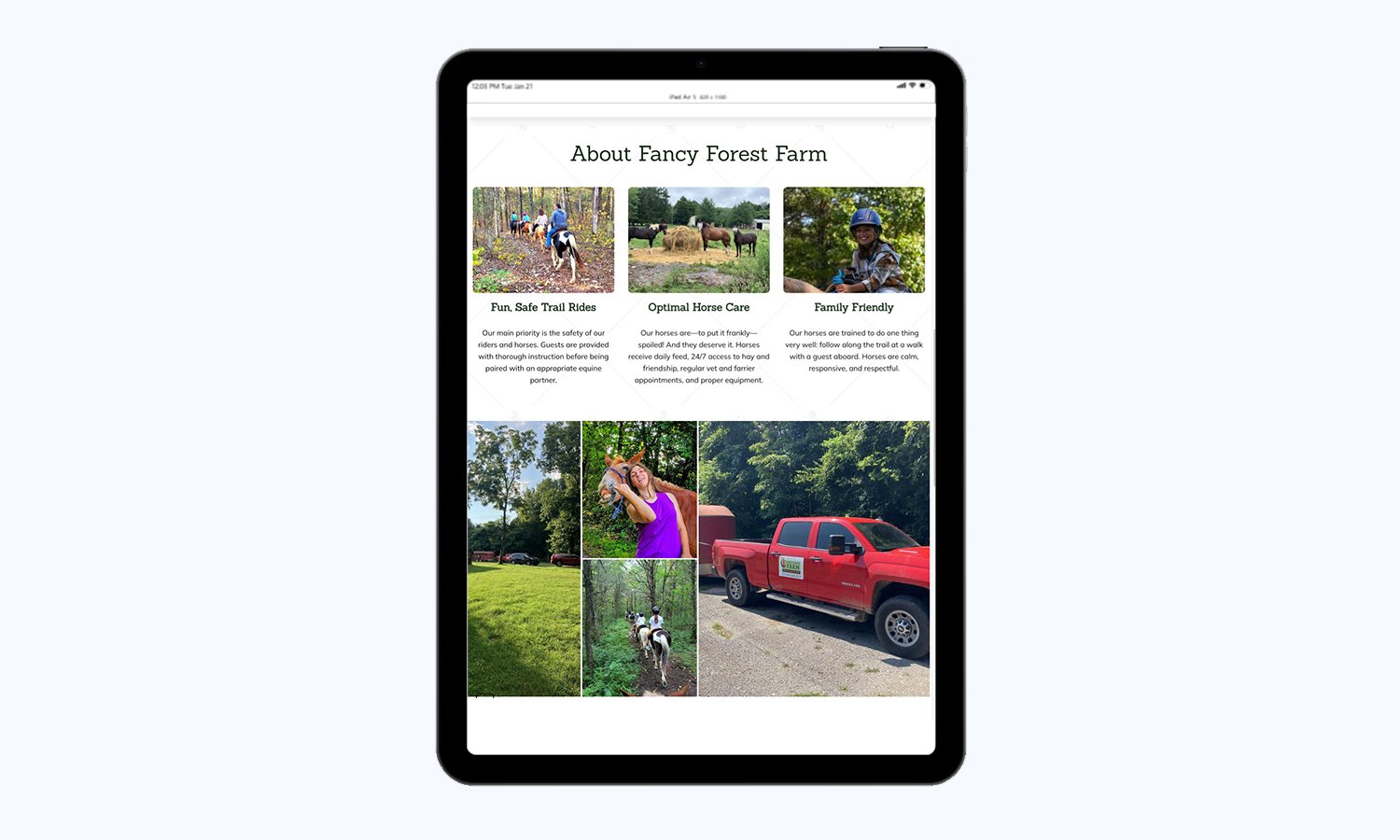 New Modern Design for Horseback Riding Website